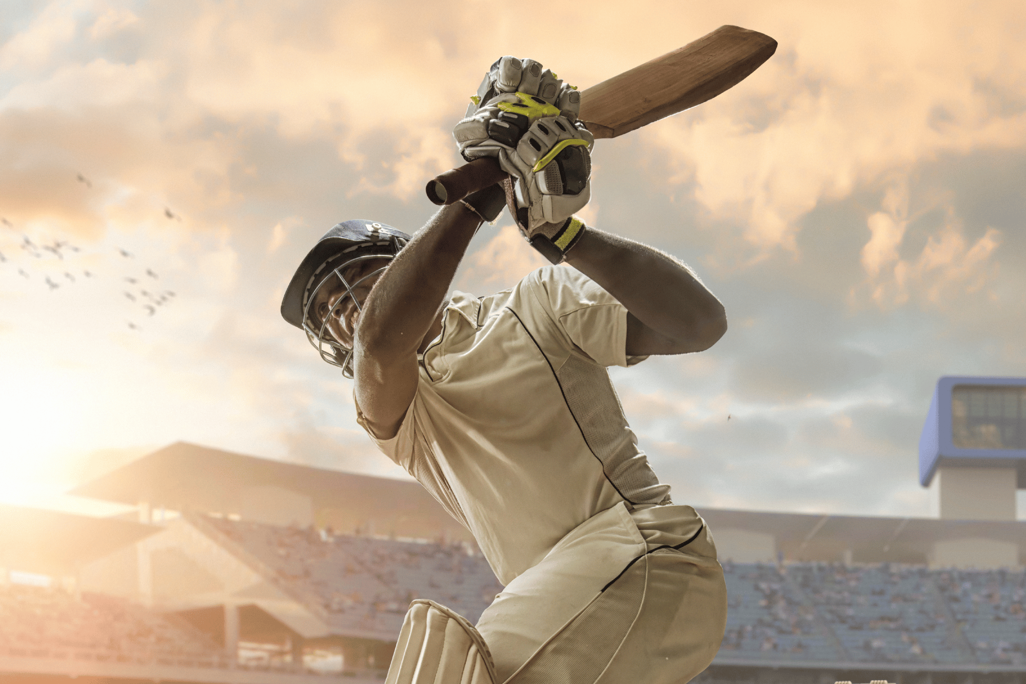 Cricket giveaway